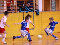 mini-2016-01-30-DSC_4674